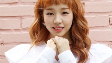Baek A Yeon