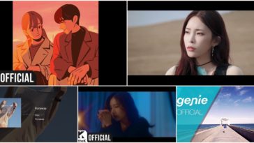 12 - 13 Octombrie 2019