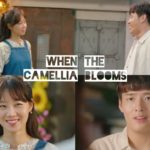 When the Camellia Blooms