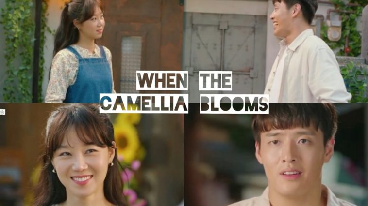 When the Camellia Blooms